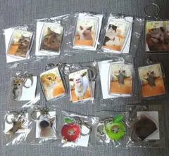 猫ミーム　アクリル キーホルダー　15個セット