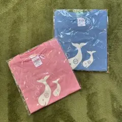 葉山　げんべい　Tシャツ　2枚セット　110 140