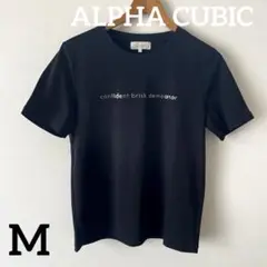 値下げ！美品⭐︎ALPHA CUBIC黒シルバーロゴ半袖 Tシャツ