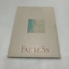 11. SEVENTEEN FACE THE SUN アルバム