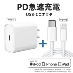 急速充電器 USB-C 15W + Lightningケーブル 1M まとめ売り