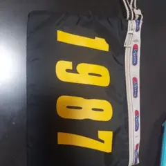 Item thumbnail for item 4700e757-d6e4-430e-ab32-b2ffd37080f9