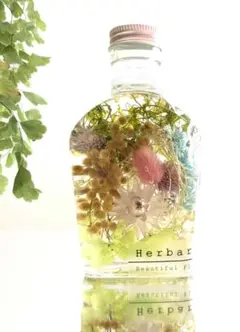 ミモザとヘリクリサムのハーバリウム ビタミンカラー ギフトにも