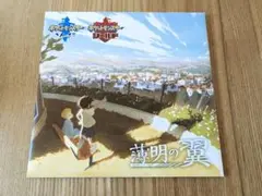 薄明の翼　DVD