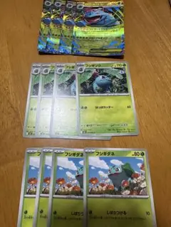 ポケモンカード メガフシギバナex 進化ライン