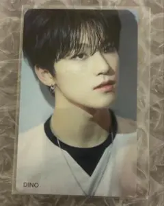 SEVENTEEN 舞い落ちる花びら HMV特典 ディノ DINO