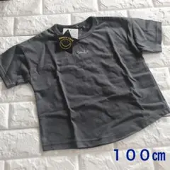 Item thumbnail for item 06cc21c2-80e1-446b-9d8a-00b803a94956