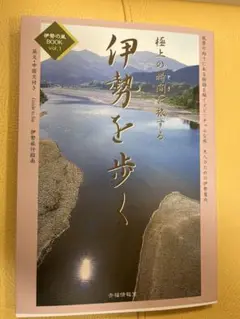 Item thumbnail for item 90a89a4d-a05b-4c43-be7e-2fb2ea3c7476