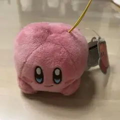 星のカーヴィ