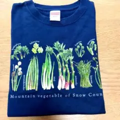 山菜図鑑ＴシャツMサイズ