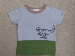 Item thumbnail for item 80541239-5f74-472e-8c64-d755e2ca1861