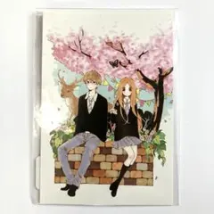 わたしのマーガレット展 日々蝶々 ポストカード 森下suu