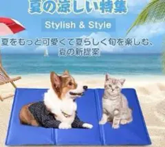 Item thumbnail for item 22d0e4ae-abc6-48a0-8349-bc8b74b05c1d