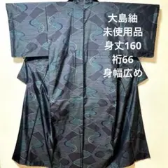 大島紬　裄66 身幅大きい　波文に幾何学　ブルーグレー　紺　未使用【Ｏ30】