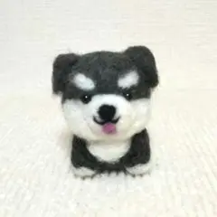 ミニチュアシュナウザー
