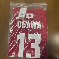 バレーボール　小川智大　ユニフォーム 2024