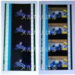 劇場版 Free! 前後編 一挙上映 入場者特典 コマフィルム 松岡凛 橘真琴