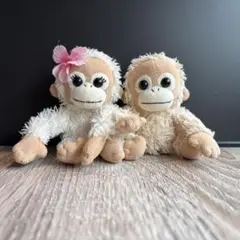 ベイビーココ ナッツ ぬいぐるみ 高さ約9㎝