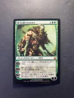 2025年最新】MTG 野生語りのガラクの人気アイテム - メルカリ