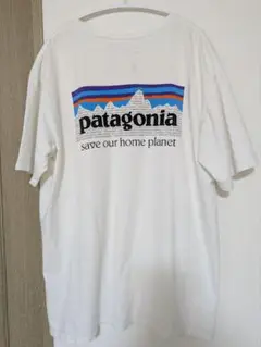 パタゴニア　オーガニックコットン　Tシャツ　Lサイズ