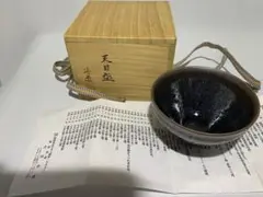 Item thumbnail for item 358c76a7-68b3-462e-9b31-02acc1349007