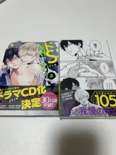 どSおばけが寝かせてくれない 2 3 ときしば　漫画　bl 2冊セット