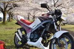 た*ー様 vtz250 マフラー　ファイター管 FIGHTER VTZ250マフラー - F－AUTO