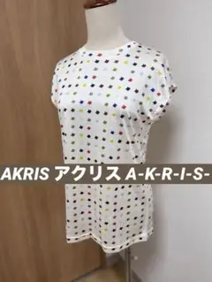 AKRISアクリス皇室御用達A-K-R-I-S-国内正規品マルベリーシルクシャツ