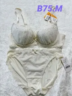 Item thumbnail for item 2c2da903-6d56-432c-943b-417884811da6