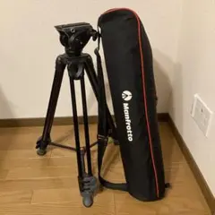 Item thumbnail for item e4e33b8b-8dd2-40d3-a69f-64083bf8344f