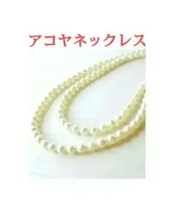 Item thumbnail for item d8408499-ac00-46a4-980d-f9c069775ae0