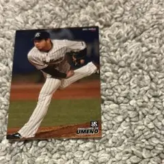 プロ野球チップスカード(梅野雄吾)