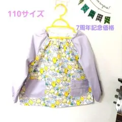 Item thumbnail for item 0f89f382-f9dd-46c0-acf7-2bb48ad204fd