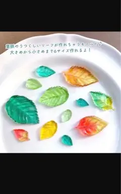 シリコン葉っぱ型モールド 6サイズ