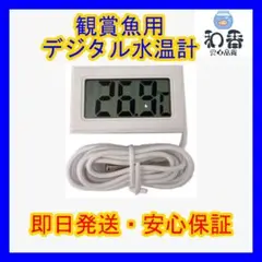 観賞魚用デジタル水温計白1個 めだか金魚熱帯魚水槽に最適PSBクロレラ同梱可J