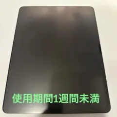 極美品 13インチ iPad Air (M3) Wi-Fi 128GBカバー付き