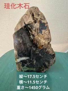 珪化木 木石 鑑賞石 水石 高さ42cm 14kg 2025年最新】珪化木石の人気アイテム - メルカリ