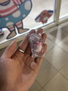 マイメロディ エモきゅん めじるしアクセサリー