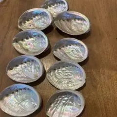 伊豆のアワビ貝殻　9個セット　　9〜11.5cm