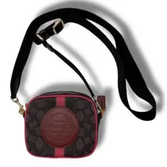 Item thumbnail for item 5b366456-6236-446f-8ef2-3b2f013d6d8b