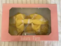 Item thumbnail for item c887e4c8-477e-4b65-a215-ea43f242ead1