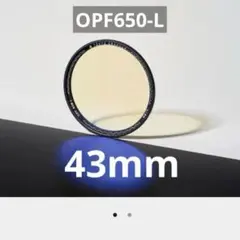 Item thumbnail for item 2dfe3a8a-0e11-489f-847a-5151a7ca8e14
