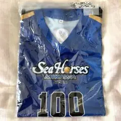 【即購入⭕️】シーホース三河 ユニフォーム