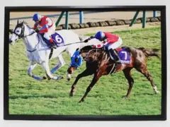 Item thumbnail for item 9b9a2abd-f123-43fc-bd6f-630e5cfa8884