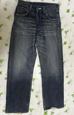 Item thumbnail for item 9b165480-5ac6-4d87-9899-e6bb10057544