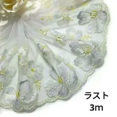 Item thumbnail for item 428b5d3d-5cc6-4f07-b11f-2332ff1afa6a