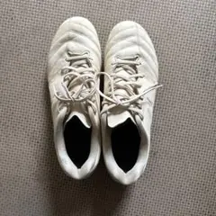 ASICS DS LIGHT ホワイト スパイクシューズ