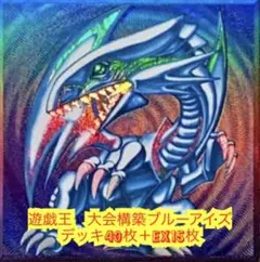 遊戯王　大会構築ブルーアイズデッキ40枚＋EX15枚