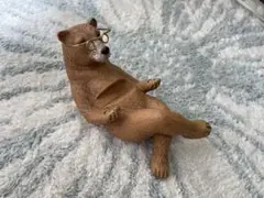 メガネかけたクマ　スマホ置き　熊