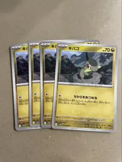 キバコ　4枚